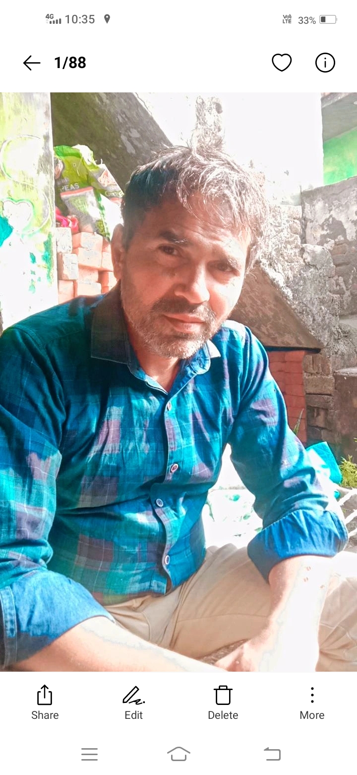 The Golden fish  Putty Work worker in Faridabad